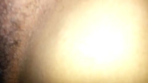 29134